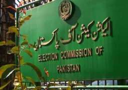 الیکشن کمیشن نے فاروق ستار نوں ہٹان لئی ایم کیو ایم دی درخاست ملن دی تصدیق کر دتی