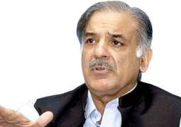 PML-N govt won hearts of people by fulfilling promises made to them: CM Muhammad Shehbaz Sharif