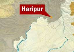 Man shot dead in Haripur