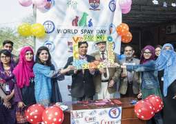 World Spay Day observed at University of Veterinary and Animal Sciences Lahore