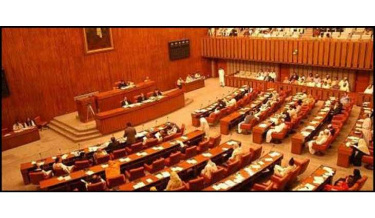 PPP nominates Thari woman for Senate polls