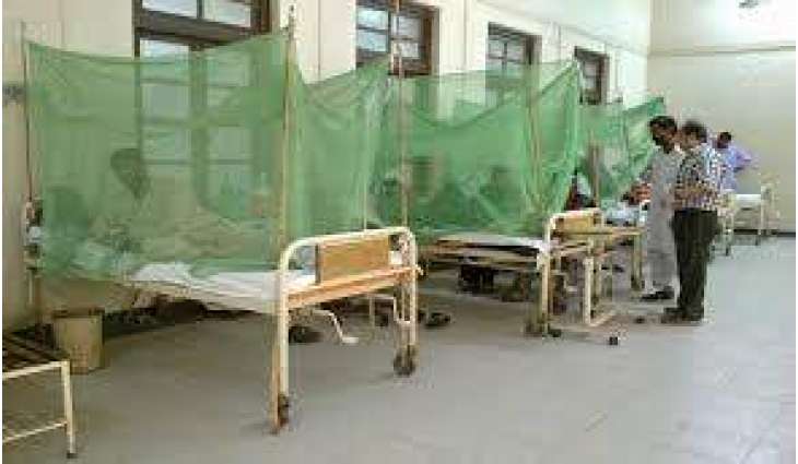 Six more dengue cases surface in Jaranwala, tally mounts to 35