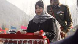 Number of Youths joining militancy in Kashmir went up in 2017: Mehbooba Mufti