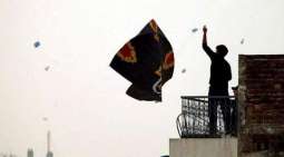 84 nabbed in crackdown against kite flyers