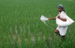 Impact of fertilizer subsidy scheme