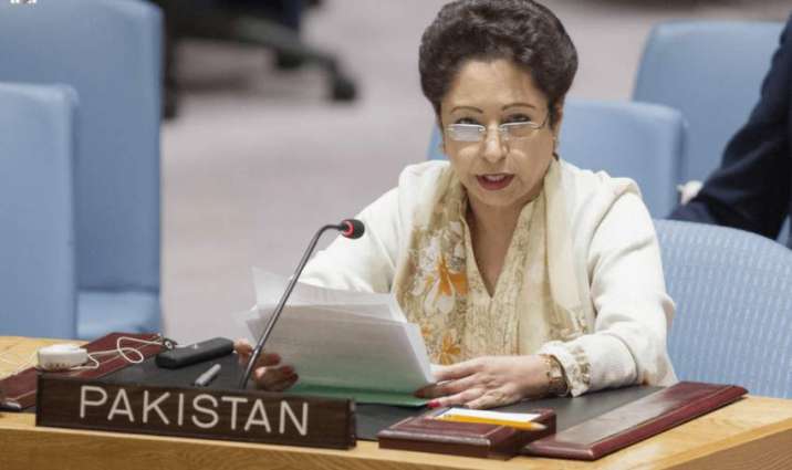Pakistan calls for equitable representation in efforts to restructure UNSC