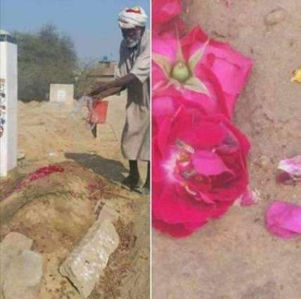 زینب تے گلابی رنگ:قبر نوں پانی دین والے بابا شریف دے اک جملے نال سوشل میڈیا ورتیندڑاں دیاں اکھاں وچ اتھرو