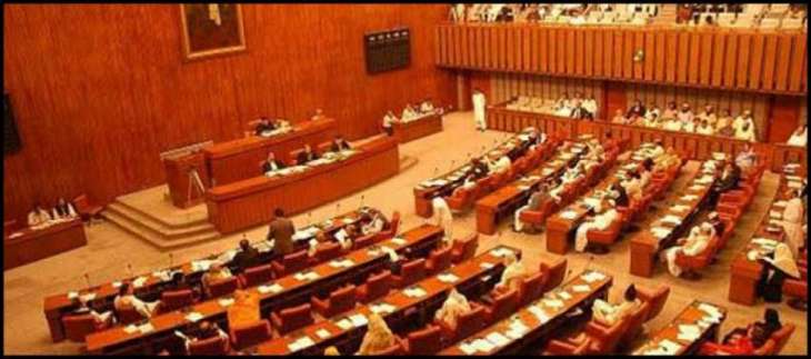 PPP candidates file nomination papers for Senate polls