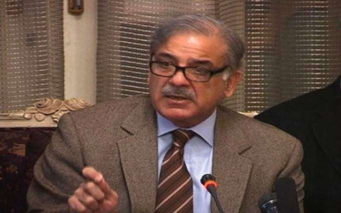 CM Muhammad Shehbaz Sharif forms committee to probe Faisalabad kite string deaths
