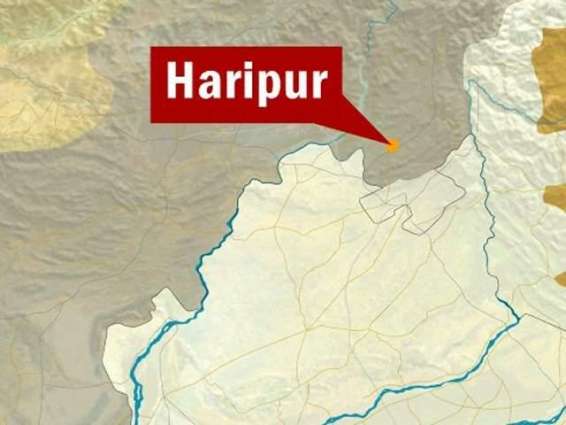 Man shot dead in Haripur