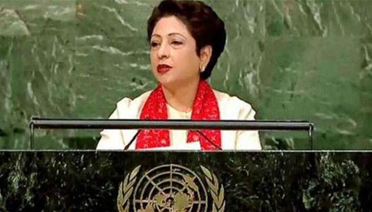 UN Military Observer Group in India, Pakistan must be expanded: Maleeha Lodhi
