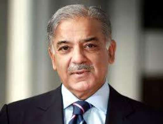 Int'l Day of Social Justice marked to create awareness in society: CM Muhammad Shehbaz Sharif has 