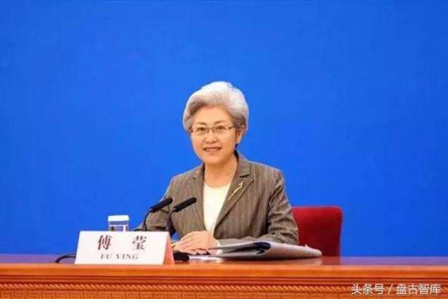 China not to export its ideology or political system: Fu Ying