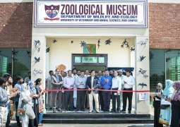 UVAS VC inaugurates Zoological Museum at Ravi Campus