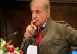 Shehbaz Sharif bought minister’s vote for £30,000 in 2008, reveals journalist
