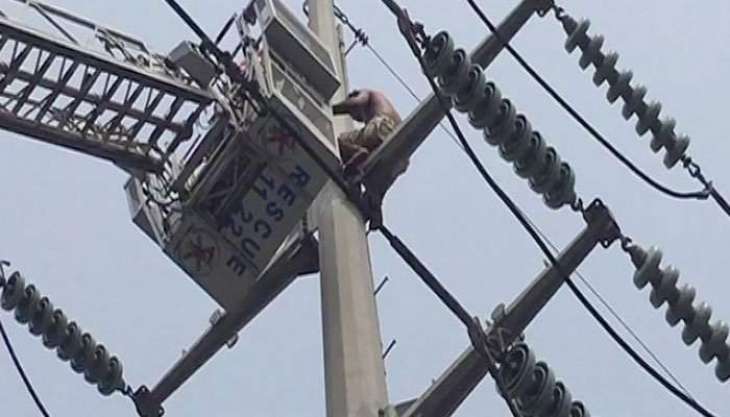 A Taxi driver climbs on electricity pylon for suicide in Islamabad