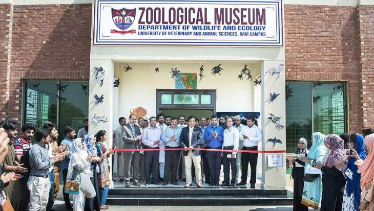 UVAS VC inaugurates Zoological Museum at Ravi Campus