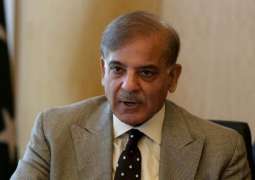 Serving 22 crore countrymen only guarantee for survival in national politics: Chief Minister Shehbaz Sharif 