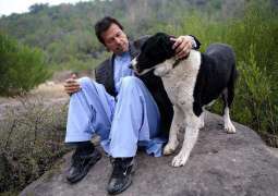 Twitterati reacts to Reham Khan’s 'revelations' about Imran Khan's dogs