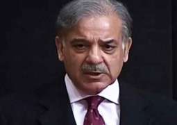 Zardari, Niazi in cahoots over power not public service: Shehbaz Sharif