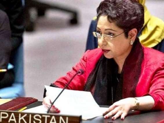 Pakistan to continue support to Kashmir cause: Maleeha Lodhi