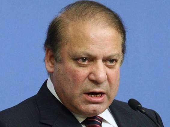 NAB's probe, lies have surfaced in front of the nation: Muhammad Nawaz Sharif