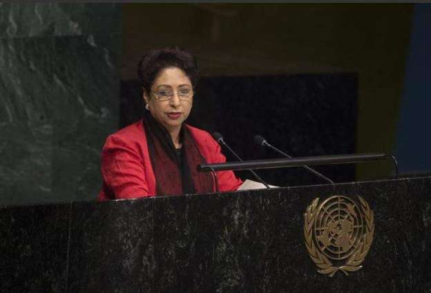 Pakistan calls for effective implementation of UN energy goal