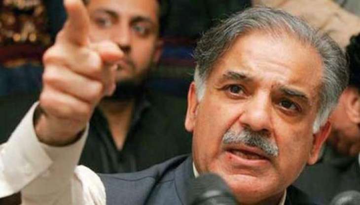 Shehbaz Sharif criticises opponents Asif Zardari, Imran Khan
