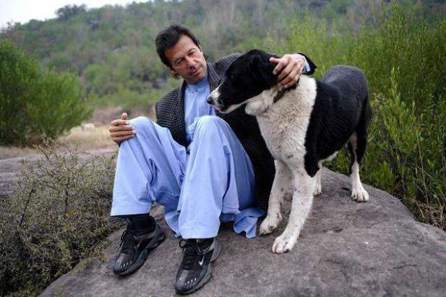 Twitterati reacts to Reham Khan’s 'revelations' about Imran Khan's dogs