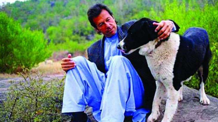 ‘Motu’ still in Bani Gala with four other dogs: Imran Khan