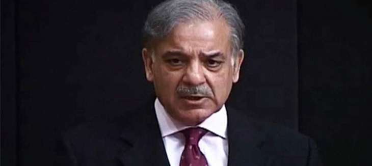 Zardari, Niazi in cahoots over power not public service: Shehbaz Sharif