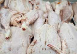 Social media users call for chicken boycott as price soars