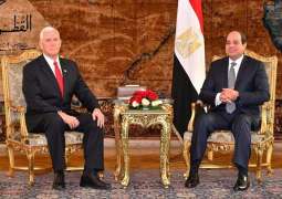 الرئيس المصري ونائب رئيس أمريكا يبحثان تطورات العلاقات الثنائية والقضية الفلسطينية
