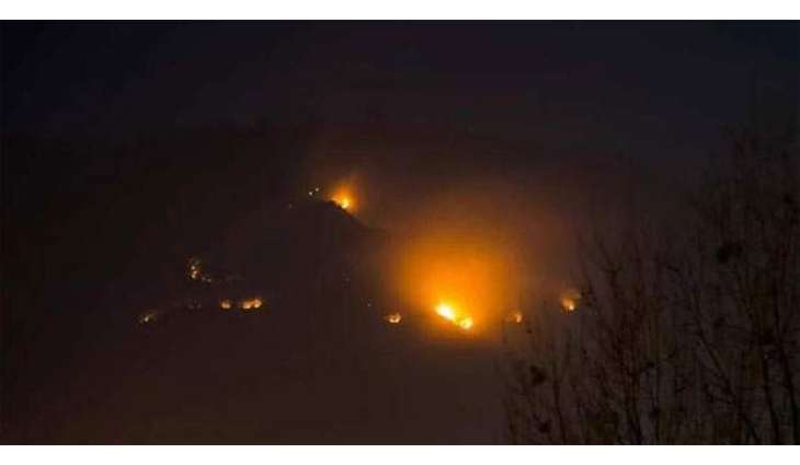 Fire breaks out at Margalla Hills
