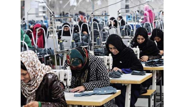 PCSW sets up 'Job Asaan-Employment Facilitation Hub' for needy women