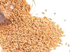 2.3 million tons wheat purchased from Sindh, Punjab
