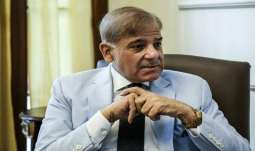 The Indian security forces have intensified the state oppression on the unarmed Kashmiri, Chief Minister Punjab Shehbaz Sharif