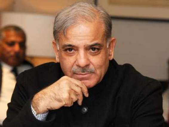Performance of PML-N's govt role model for all others: Shehbaz Sharif