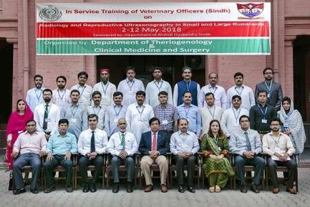 UVAS trains Sindh Veterinary Officers on Radiology & Reproductive Ultrasonography in Small and Large Ruminants