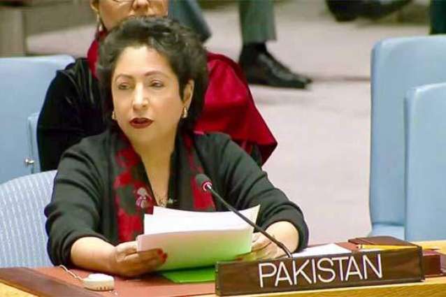 Pakistan's Ambassador Maleeha Lodhi urges UN to implement resolutions regarding Kashmir, Palestine at International fora