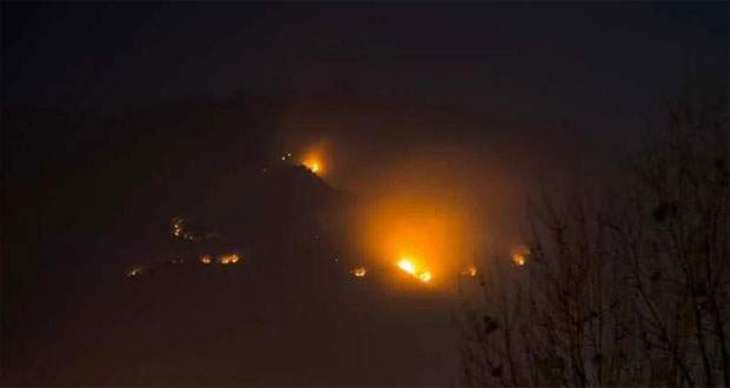 Fire breaks out at Margalla Hills