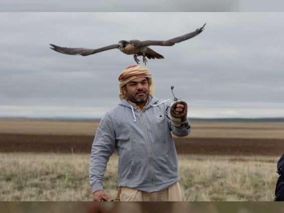 "بيئة أبوظبي": إطلاق 68 صقرا بريا في كازاخستان