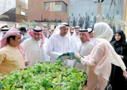 بلدية دبي تحتفي بيوم البيئة العالمي