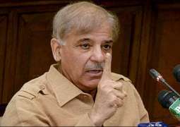 Record development made by country in PML-N govt's tenure: Shehbaz Sharif