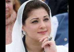 Maryam Nawaz, obtains nomination papers for Lahore's NA-125