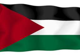            اصابة فلسطينيين اثنين في غارة إسرائيلية شرق البريج           