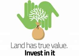 On World Day to Combat Desertification, UN shines spotlight on ‘true value’ of land