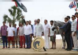مرابط الإمارات تتألق في بطولة منتون الدولية لجمال الخيل العربية 