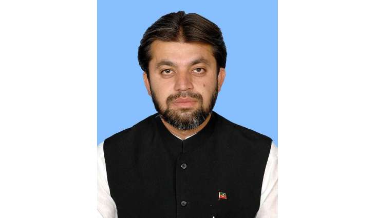 Not after NA seat or Ministry: Ali Muhammad Khan on not getting PTI ticket