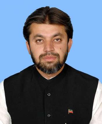 Not after NA seat or Ministry: Ali Muhammad Khan on not getting PTI ticket